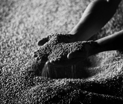 Single malt, single pot nebo blended? Vyznáte se ve whiskey slovníčku?