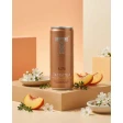 Tatratea Broskev & Ice tea Fizz 0,25 L 4,2% 2