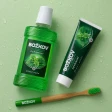 Ústní hygiena Božkov Peprmint 3