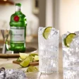 Tanqueray London Dry Gin 1 L 43,1% 9