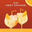 Gordon's Mediterranean Orange Gin 0,7 L 37,5% 2