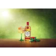 Tanqueray Flor De Sevilla Gin 0,7 L 41,3% 5