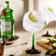 Tanqueray London Dry Gin 1 L 43,1% 4