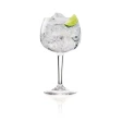Gordon's Dry Gin 1 L 37,5% 3