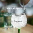 Tanqueray London Dry Gin 0,7 L 43,1%  7