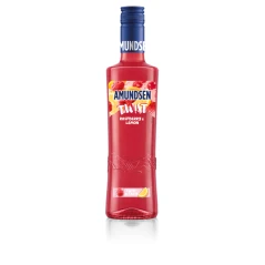Amundsen Twist Raspberry & Lemon 0,5L 15%